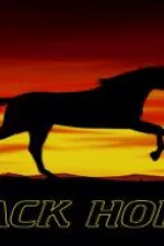 Black Horse