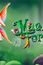 Magic Forest