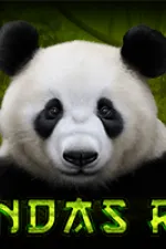 Panda`s Fortune