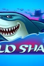 Wild Shark