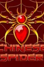 chinese spider