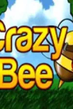 crazy bee