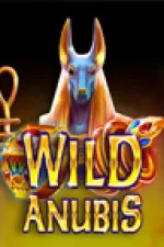 wild anubis