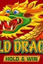 Wild Dragon