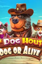 The Dog House – Dog or Alive