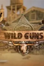 Wild Guns