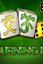 20 Burning Dice