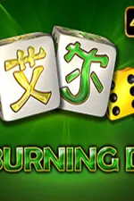 40 Burning Dice