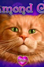Diamond Cats