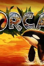 Orca