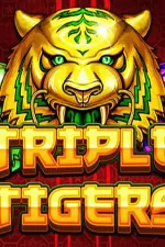 Triple Tigers