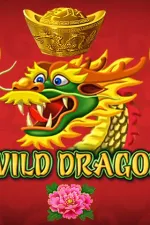 Wild Dragon