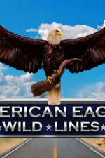 Wild Lines: American Eagle